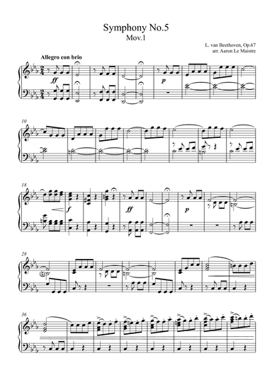 Symphony no.5 Mov.1 Allegro con brio