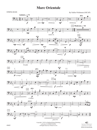Mare Orientale: String Bass
