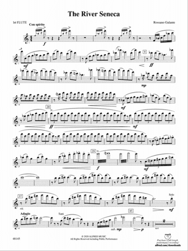 The River Seneca: Flute