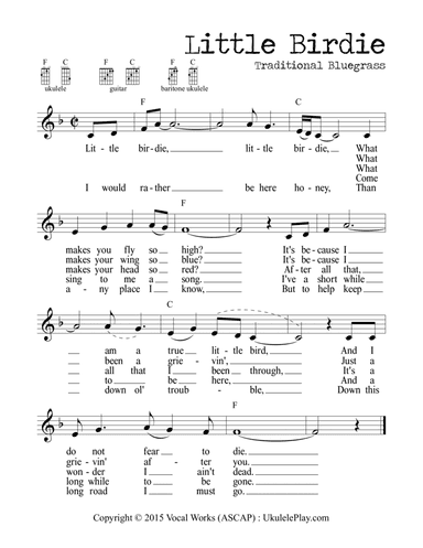 Little Birdie (Traditional Bluegrass)