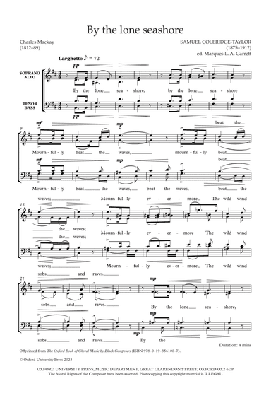 By the lone seashore