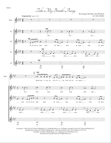 Take My Breath Away (love Theme)