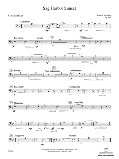 Sag Harbor Sunset: (wp) String Bass