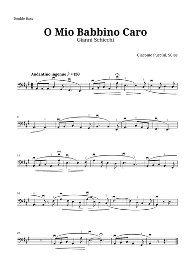 O Mio Babbino Caro by Puccini for Double Bass
