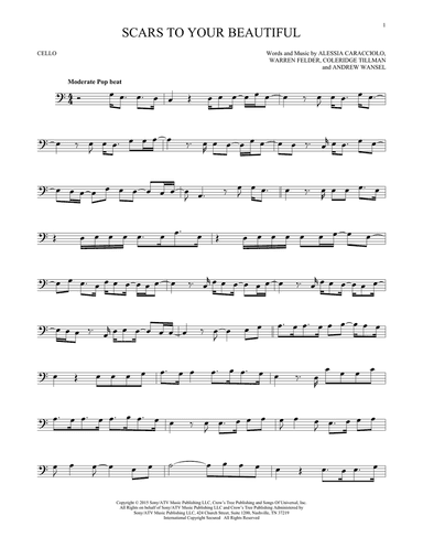 Scars To Your Beautiful