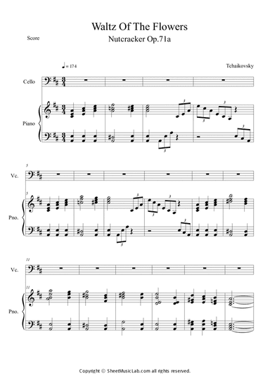 Nutcracker Op.71a - Waltz of the Flowers