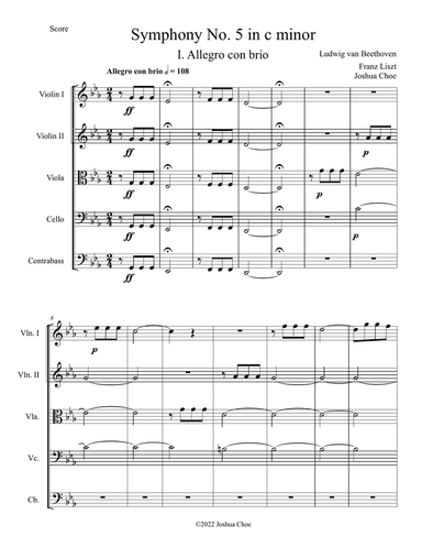 Symphony No. 5 in c minor, Movement 1