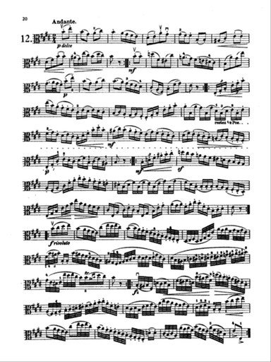 Hoffmeister: Studies