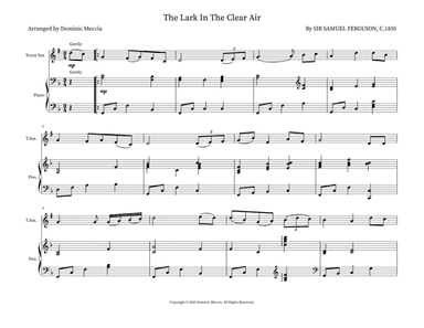 The Lark In The Clear Air