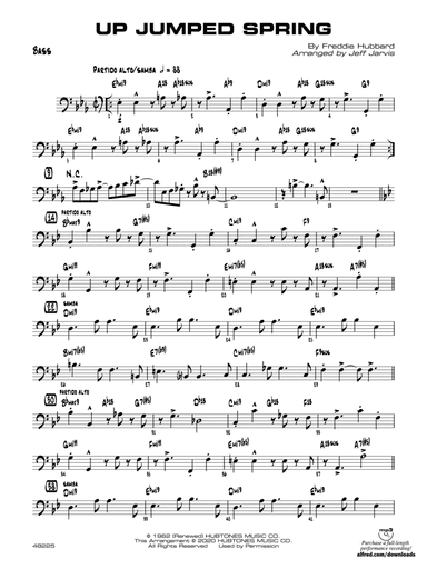 Up Jumped Spring: String Bass