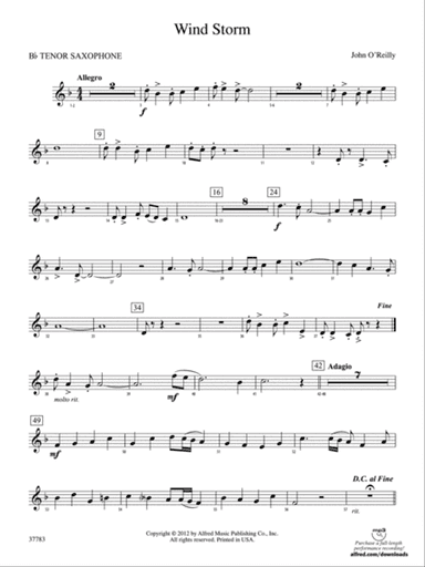 Wind Storm: B-flat Tenor Saxophone