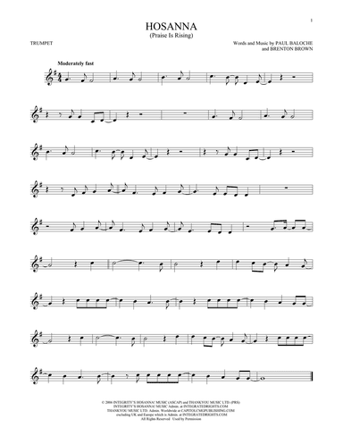 Hosanna (Praise Is Rising)