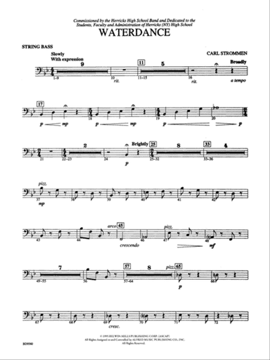 Waterdance: String Bass