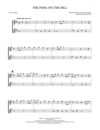 The Fool On The Hill