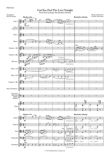 Can You Feel The Love Tonight