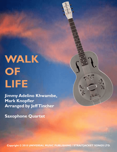 Walk Of Life