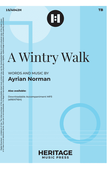 A Wintry Walk