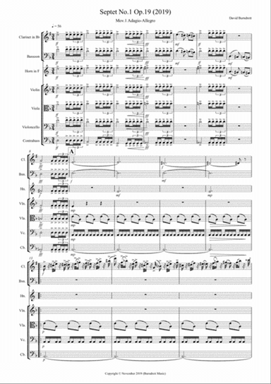 Septet No.1 Op.19 in D Minor for Strings and Wind
