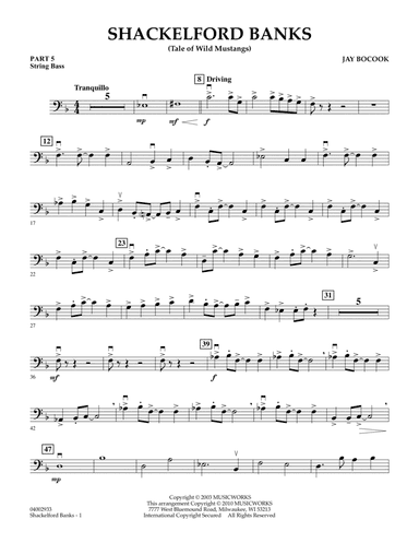 Shackelford Banks (Tale of Wild Mustangs) - Pt.5 - String/Electric Bass