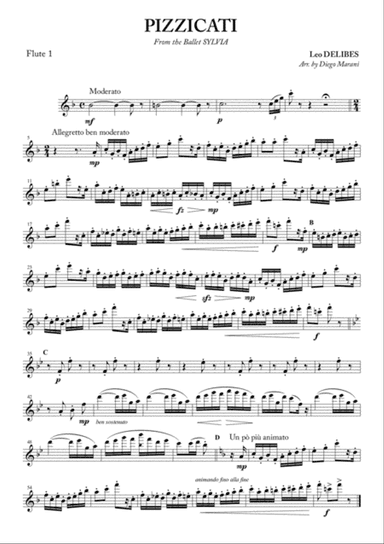 Pizzicati for Flute Quartet