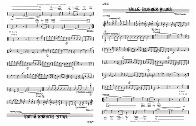 Mule Skinner Blues