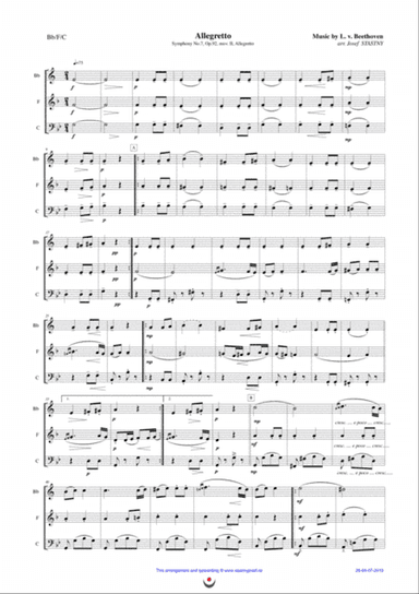 Allegretto (Beethoven: Symphony No.7, mov. II, excerpt)