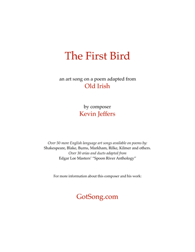 The First Bird (on an old Irish poem)