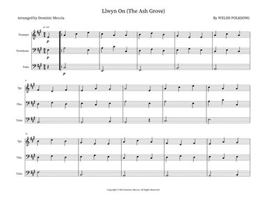 Llwyn On (The Ash Grove)