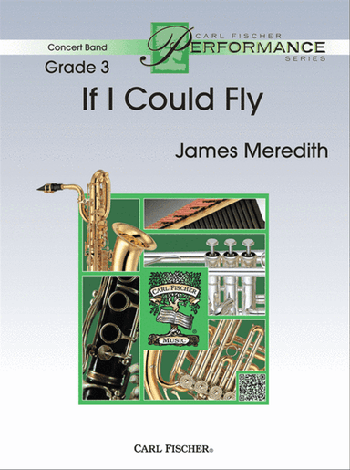 If I Could Fly