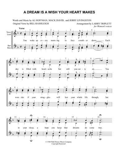 A Dream Is A Wish Your Heart Makes