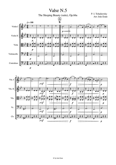 Valse No.5 - The Sleeping Beauty. op.66a