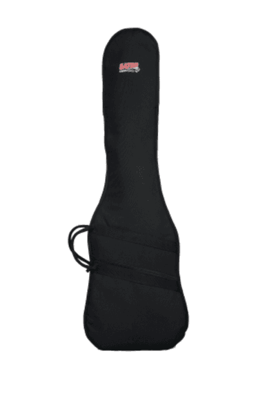 Economy Gig Bag