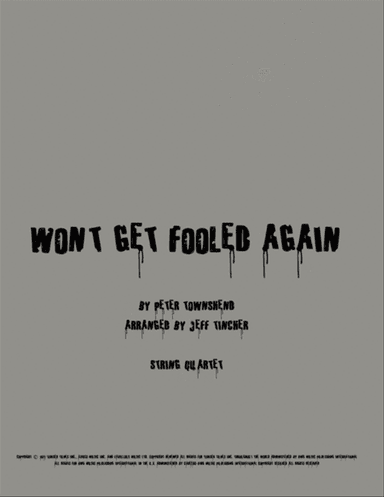 Won't Get Fooled Again