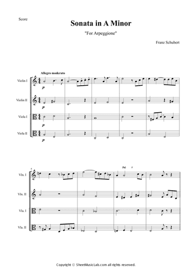 Sonata per Arpeggione, D.821