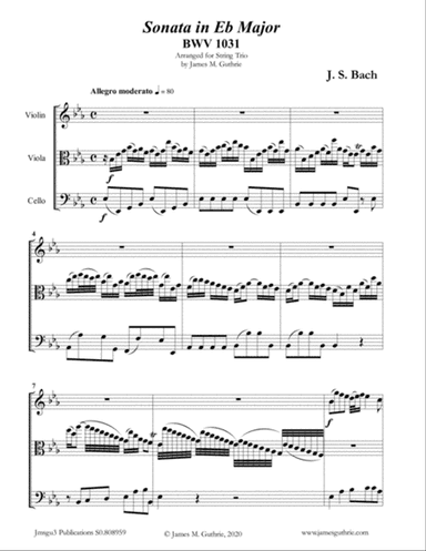 BACH: Sonata BWV 1031 for String Trio