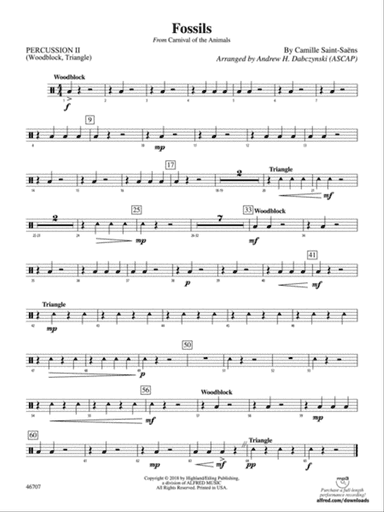 Fossils: 1st Percussion