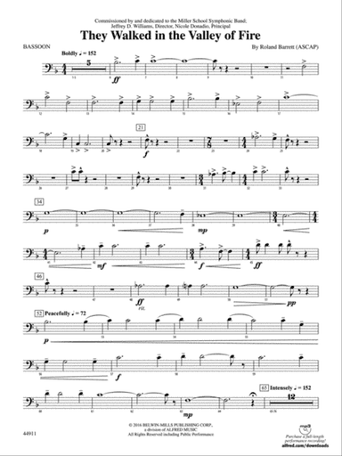 They Walked in the Valley of Fire: Bassoon