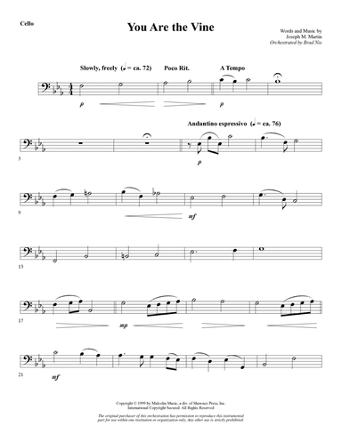 You Are the Vine - Cello