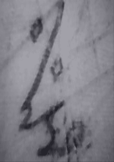 Morse Charang : 002150