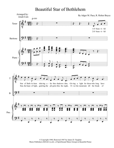 Beautiful Star Of Bethlehem