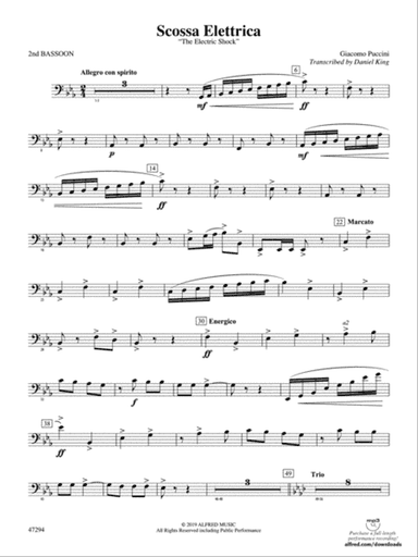 Scossa Elettrica: 2nd Bassoon