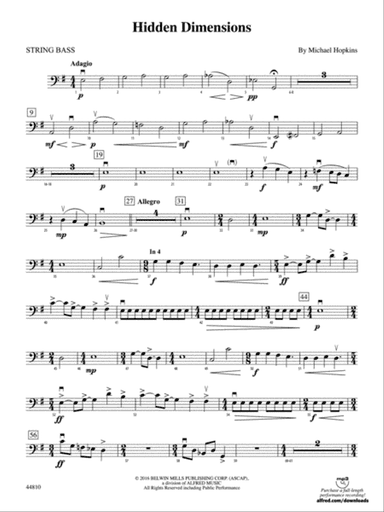 Hidden Dimensions: String Bass