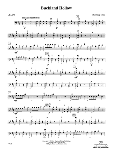 Buckland Hollow: Cello