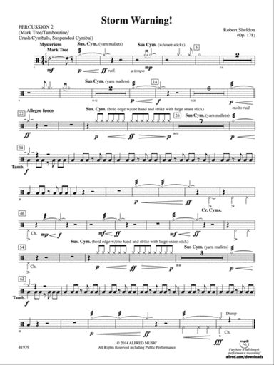 Storm Warning!: 2nd Percussion