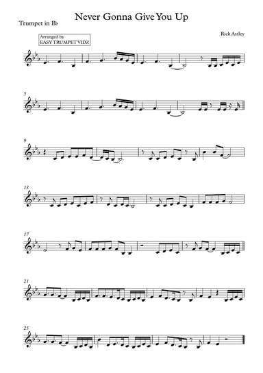 Never Gonna Give You Up