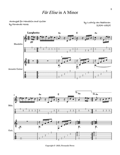 Für Elise for Mandolin and Acoustic Guitar