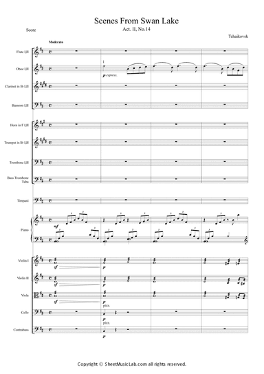 Scene From Swan Lake