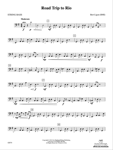 Road Trip to Rio: String Bass