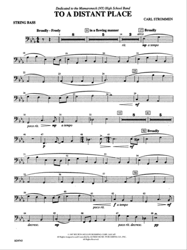 To a Distant Place: String Bass