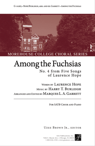 Among the Fuchsias